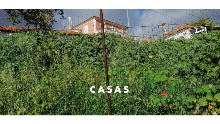 Terreno para Venda em Santo Antonio Foto 12