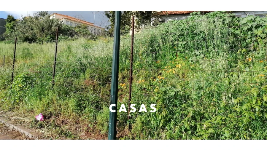 Terreno para Venda em Santo Antonio Foto 13