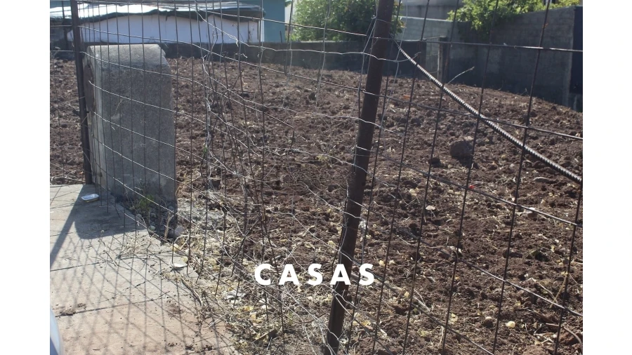 Terreno para Venda em Santo Antonio Foto 7