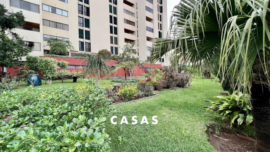 Apartamento T3 para Venda em Funchal (São Pedro) Foto 5