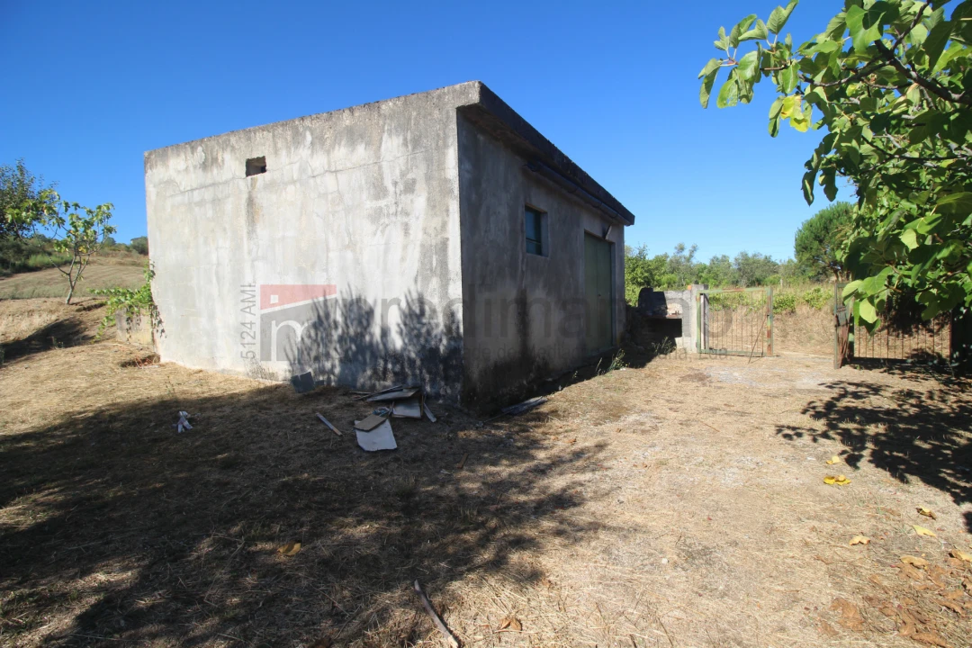 Terreno Agricola ou Rústico para Venda em São Paio Foto 14