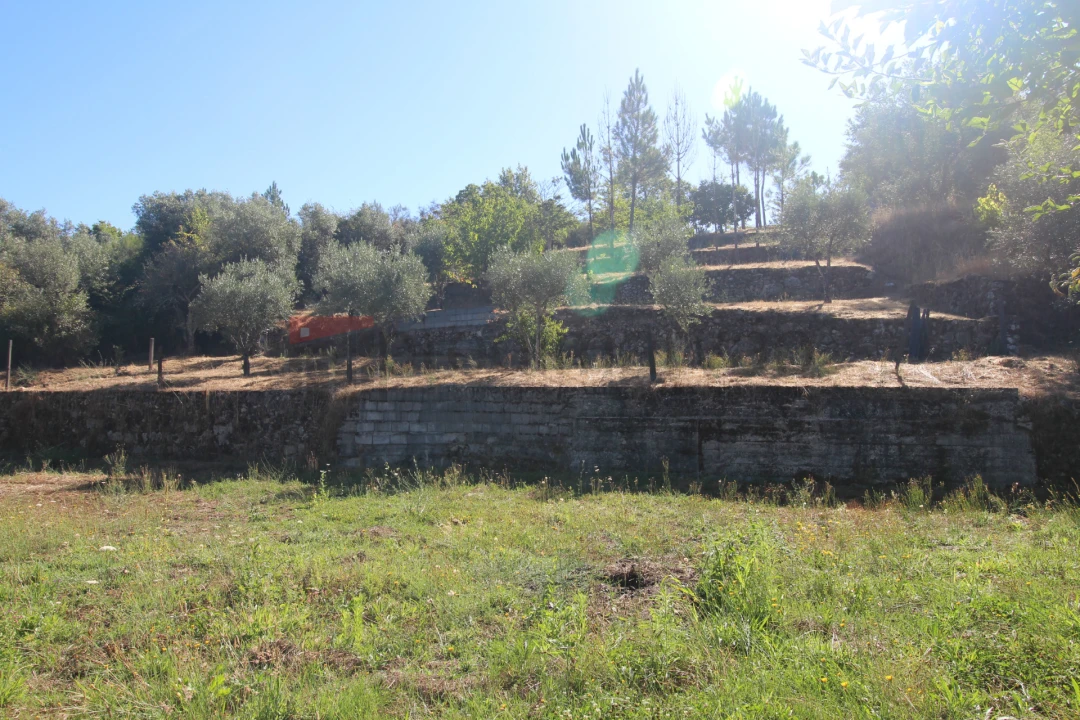 Terreno Agricola ou Rústico para Venda em São Paio Foto 9