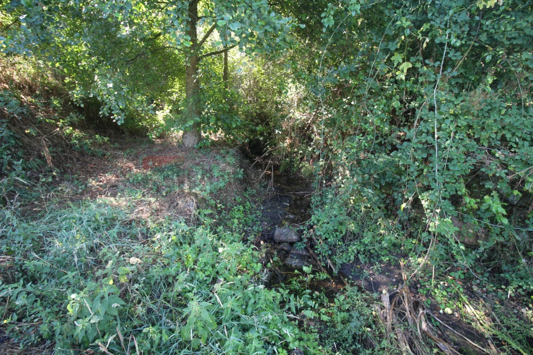 Terreno Agricola ou Rústico para Venda em São Paio Foto 11