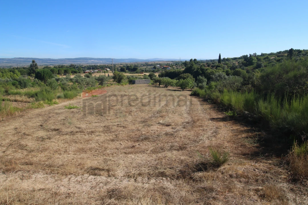 Terreno Agricola ou Rústico para Venda em São Paio Foto 4