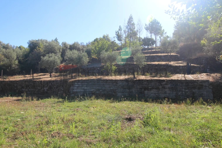 Terreno Agricola ou Rústico para Venda em São Paio Foto 9