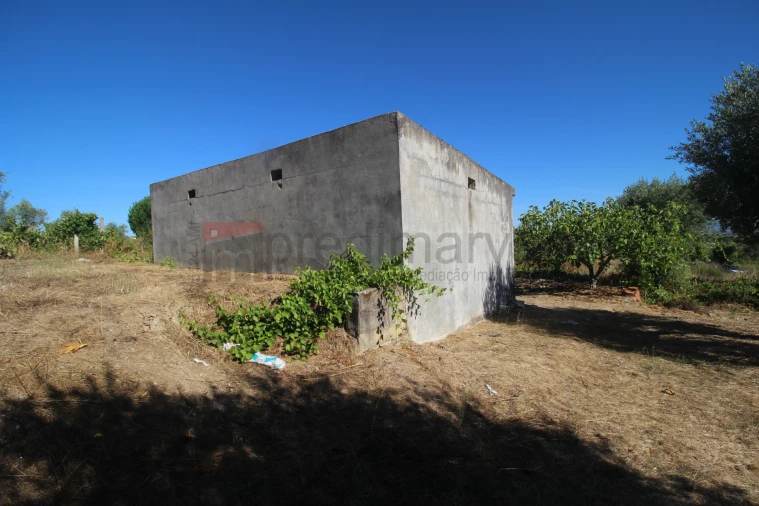 Terreno Agricola ou Rústico para Venda em São Paio Foto 13