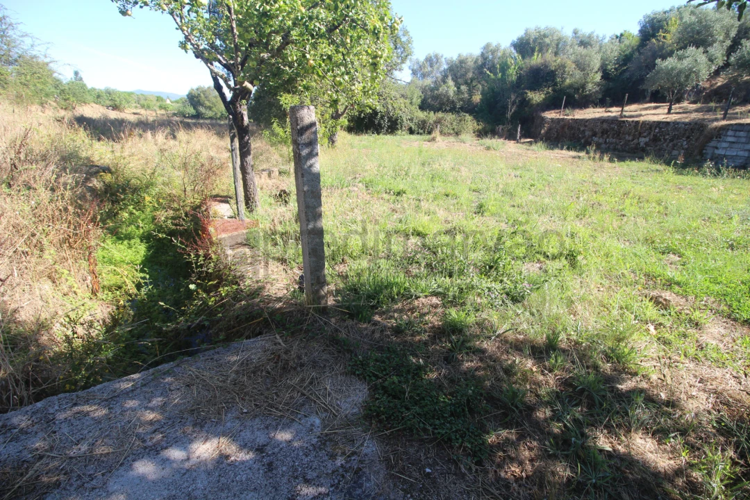 Terreno Agricola ou Rústico para Venda em São Paio Foto 12