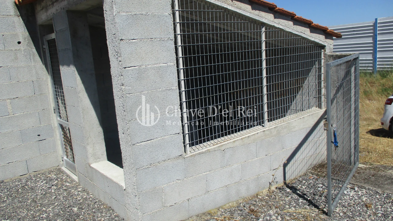 Terreno para Venda em Freixiosa Foto 11