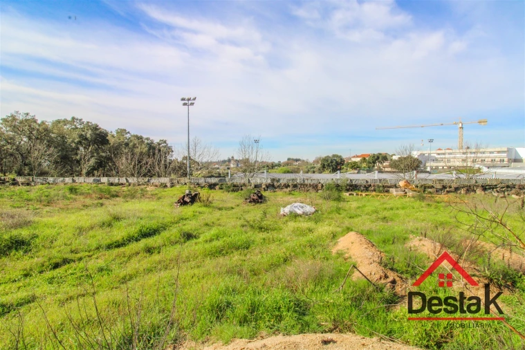 Terreno para Venda em Lajeosa do Dão Foto 5