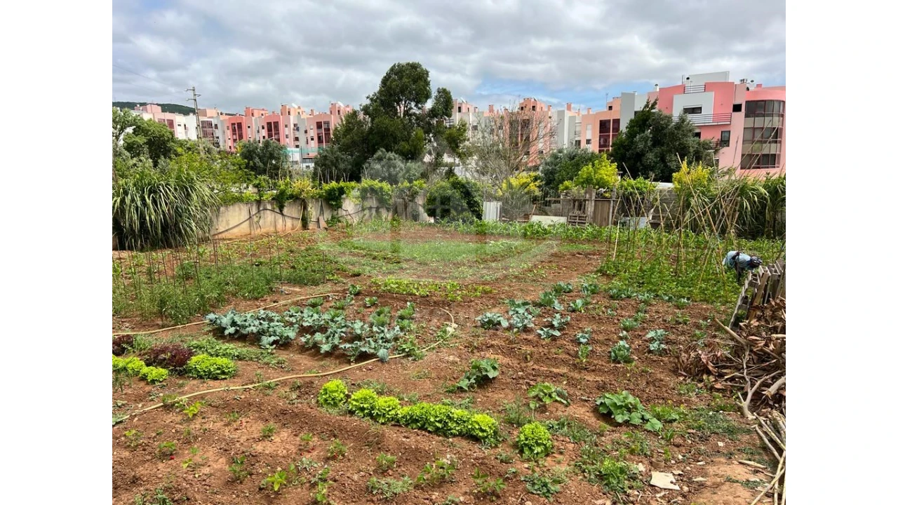 Terreno para Venda em Vialonga Foto 1