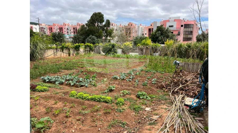 Terreno para Venda em Vialonga Foto 3