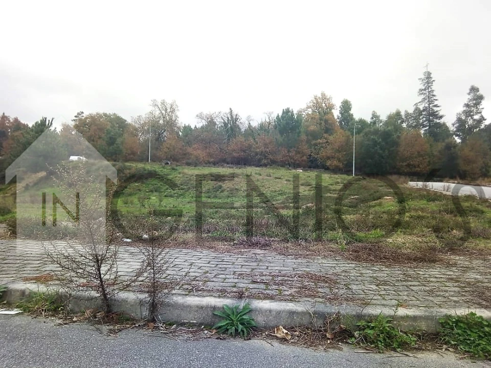 Terreno para Venda em Ruivães e Novais Foto 1