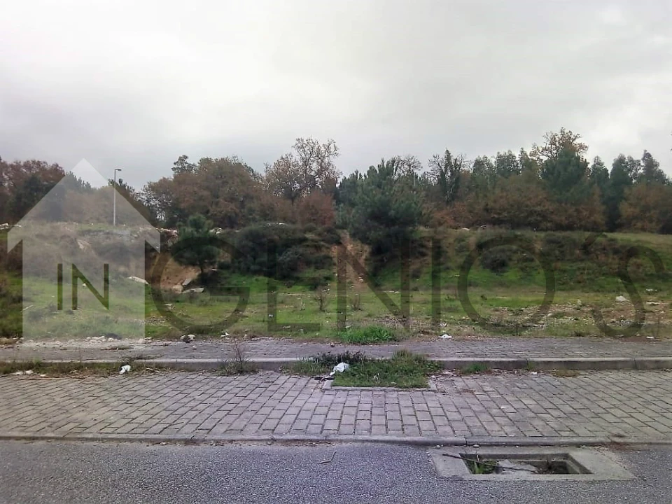 Terreno para Venda em Ruivães e Novais Foto 2