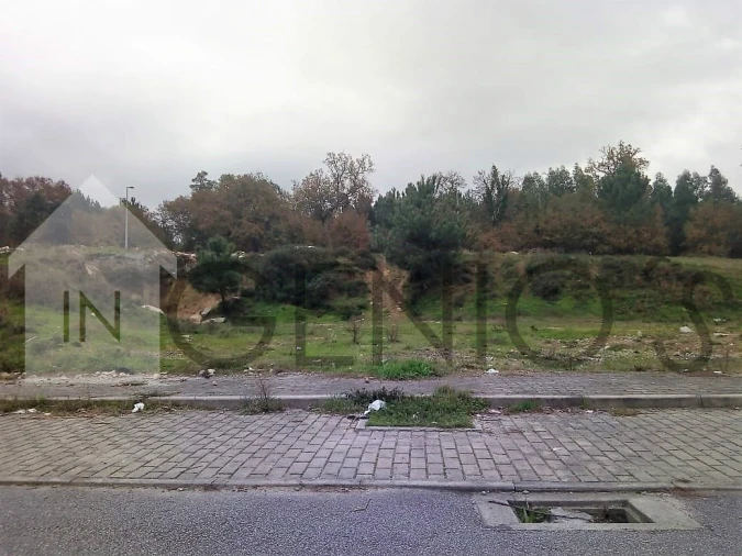 Terreno para Venda em Ruivães e Novais Foto 2
