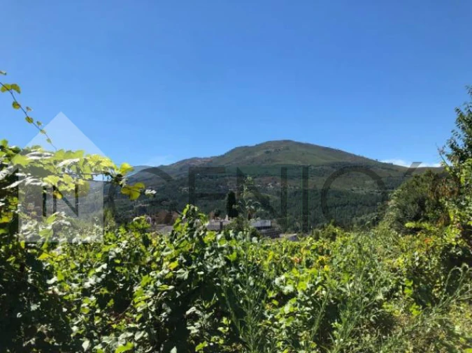 Terreno para Venda em Cerva e Limões Foto 9