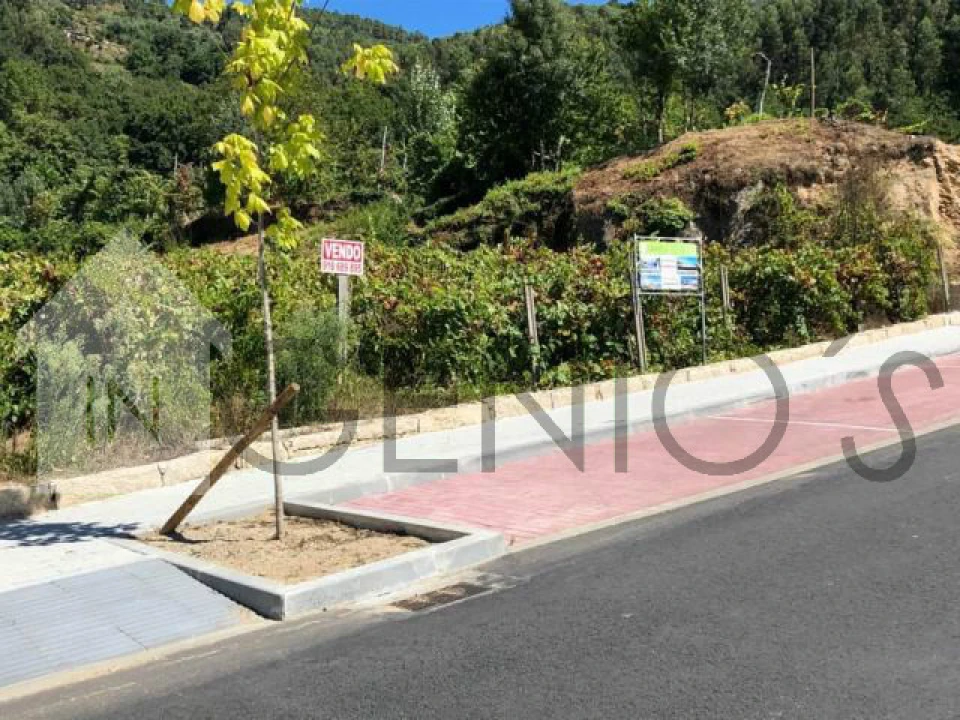 Terreno para Venda em Cerva e Limões Foto 3