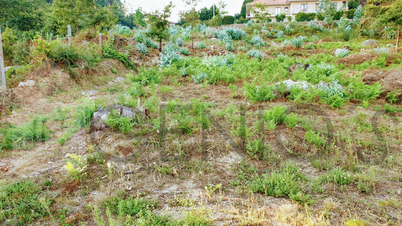 Terreno para Venda em Vale (São Cosme), Telhado e Portela Foto 5