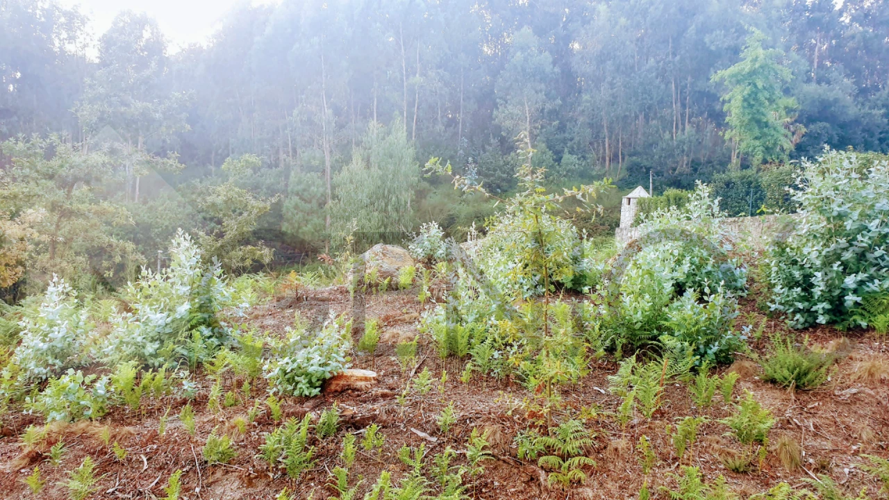 Terreno para Venda em Vale (São Cosme), Telhado e Portela Foto 8