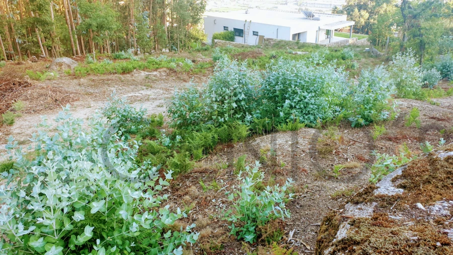 Terreno para Venda em Vale (São Cosme), Telhado e Portela Foto 10