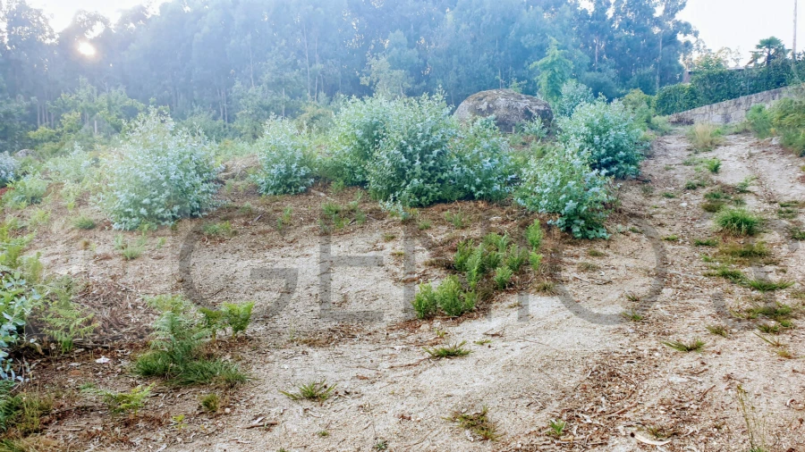Terreno para Venda em Vale (São Cosme), Telhado e Portela Foto 6