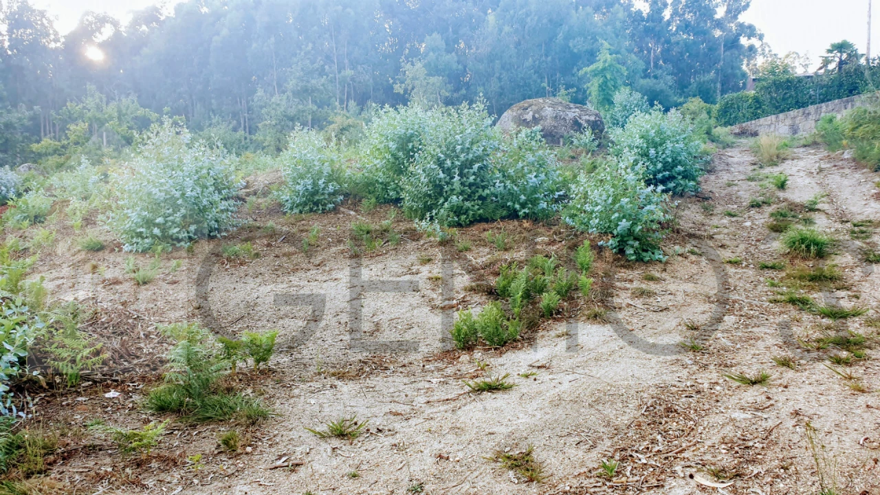 Terreno para Venda em Vale (São Cosme), Telhado e Portela Foto 6