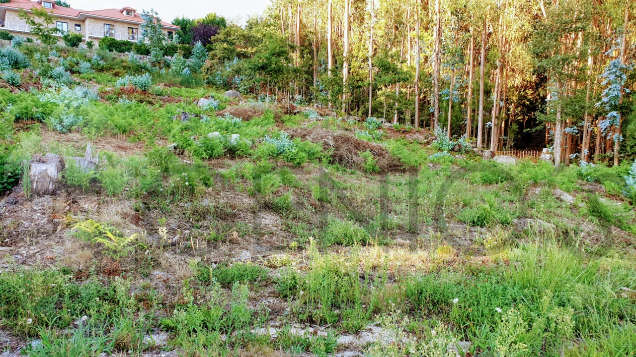 Terreno para Venda em Vale (São Cosme), Telhado e Portela Foto 2