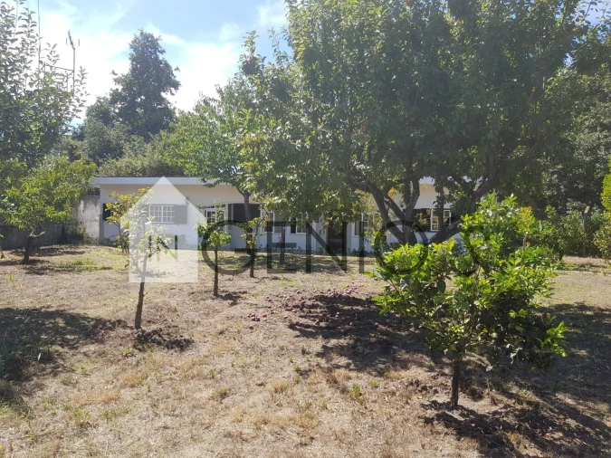 Moradia T7 para Venda em Mogege Foto 5