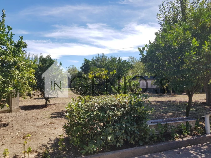 Moradia T7 para Venda em Mogege Foto 4