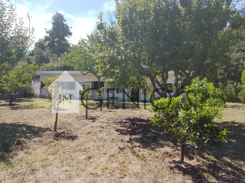 Moradia T7 para Venda em Mogege Foto 5