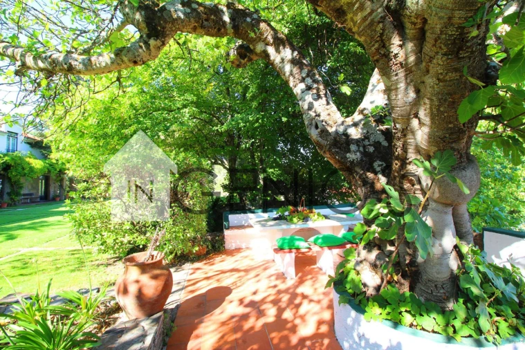 Quinta T9 para Venda em Orjais Foto 31