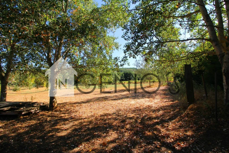 Quinta T9 para Venda em Orjais Foto 45