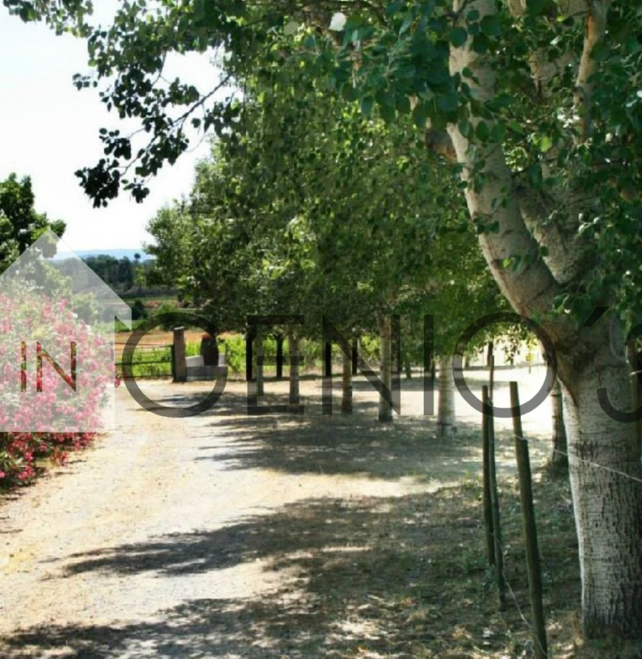 Quinta T9 para Venda em Orjais Foto 43