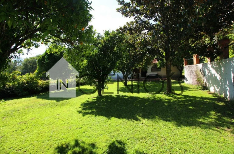 Quinta T9 para Venda em Orjais Foto 37