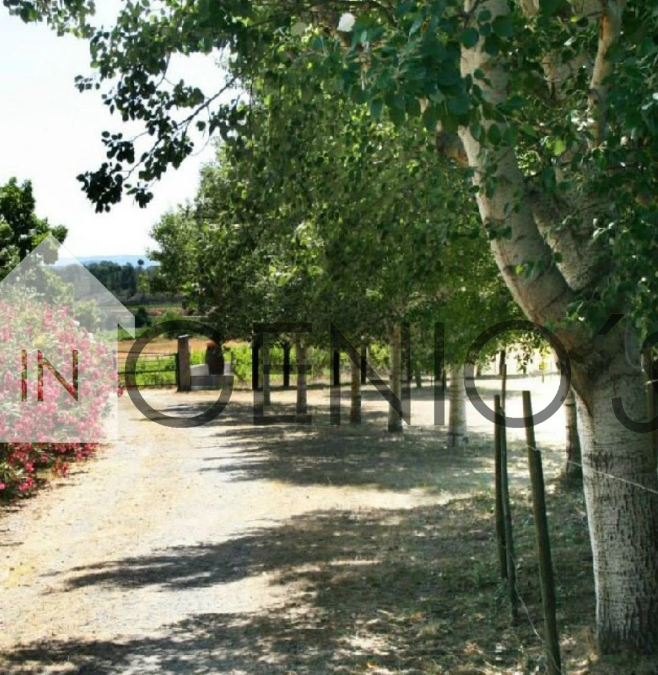 Quinta T9 para Venda em Orjais Foto 43