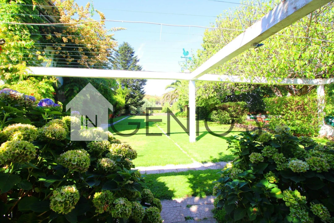 Quinta T9 para Venda em Orjais Foto 36