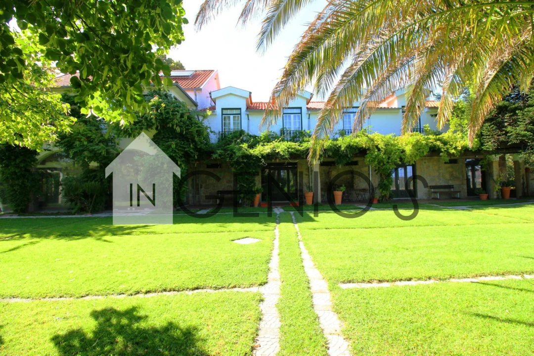 Quinta T9 para Venda em Orjais Foto 39