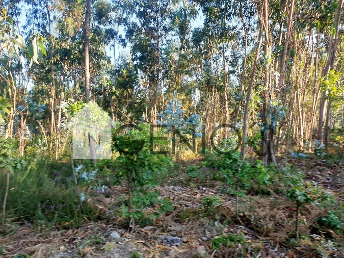 Terreno para Venda em Gondifelos, Cavalões e Outiz Foto 4