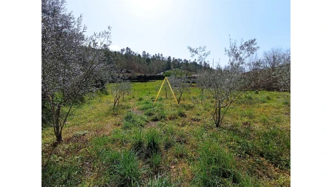 Terreno para Venda em São Pedro de France