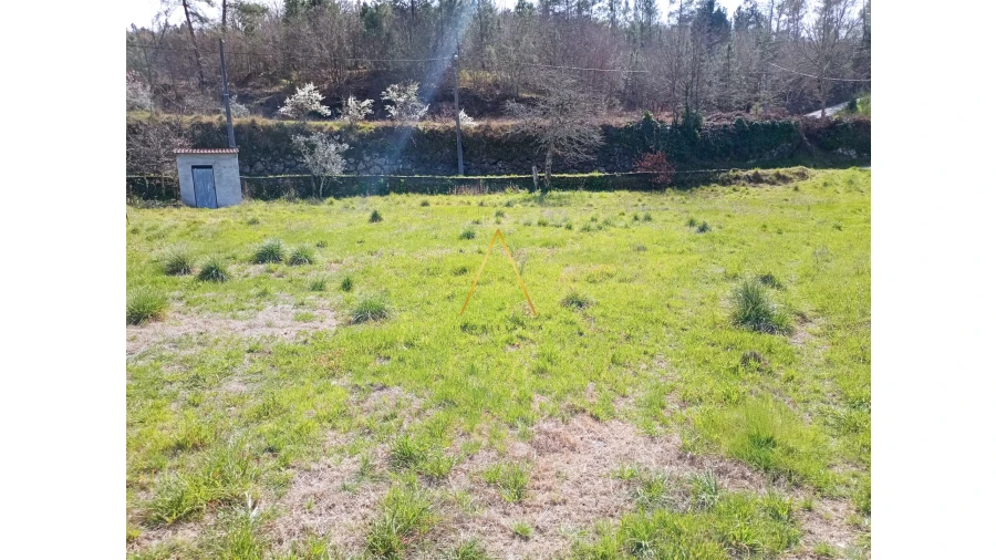 Terreno para Venda em São Pedro de France Foto 5