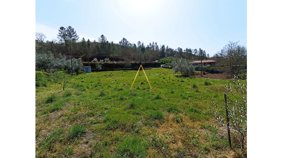 Terreno para Venda em São Pedro de France Foto 3