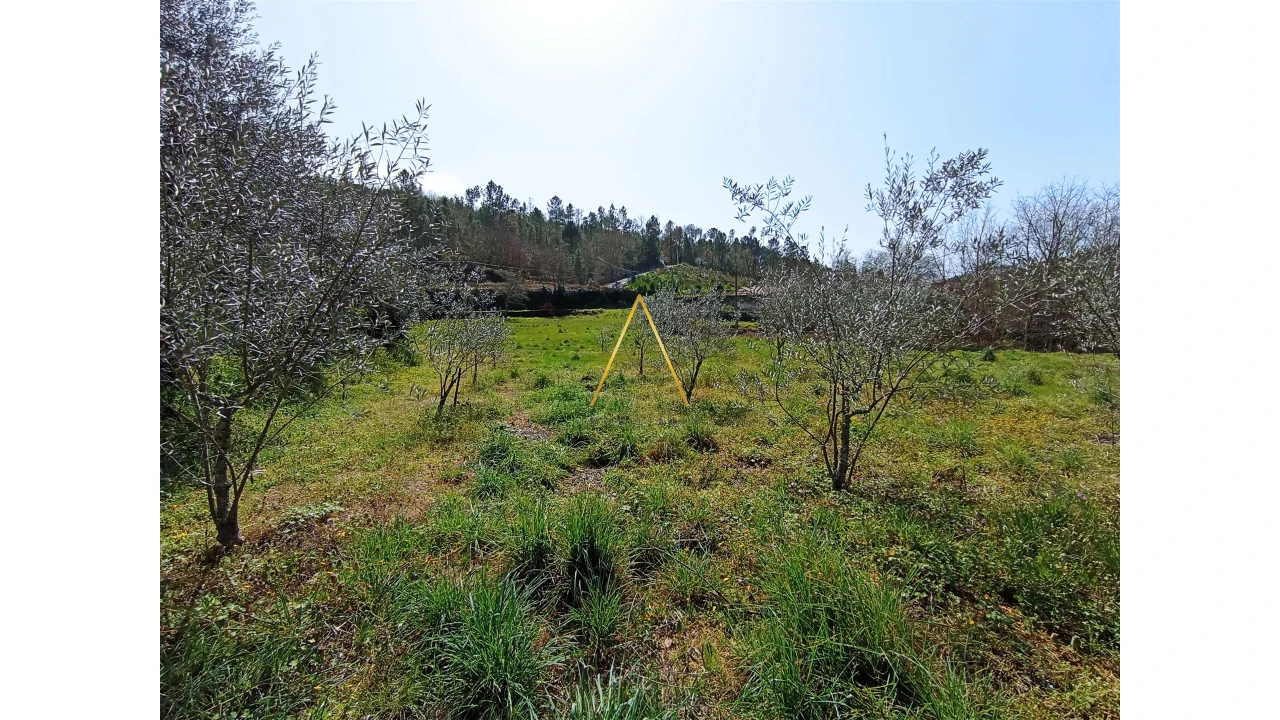 Terreno para Venda em São Pedro de France Foto 2