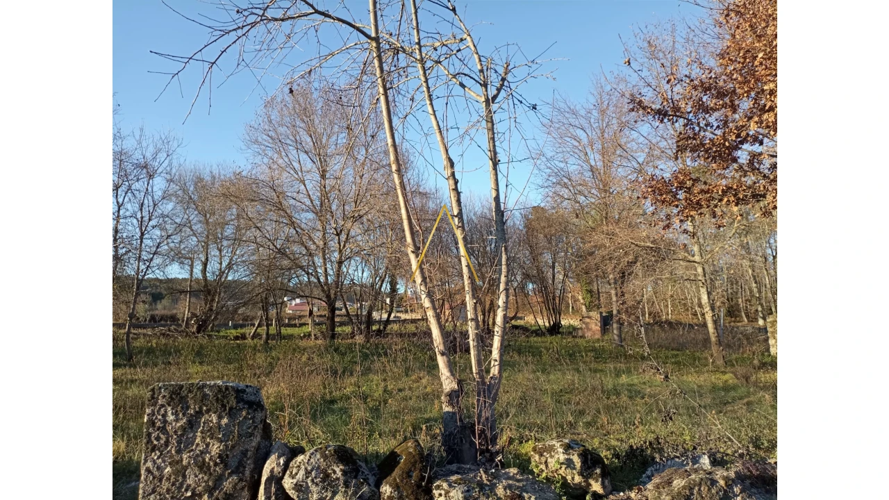 Terreno para Venda em Orgens Foto 9