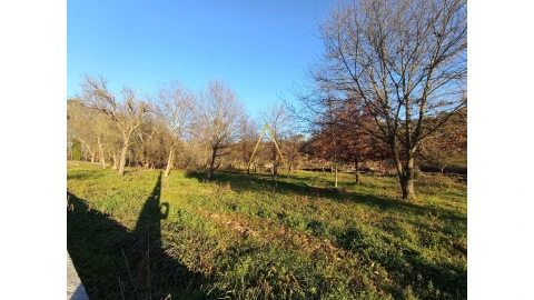 Terreno para Venda em Orgens
