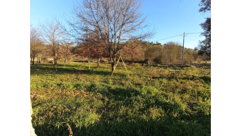 Terreno para Venda em Orgens