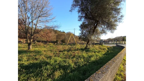 Terreno para Venda em Orgens