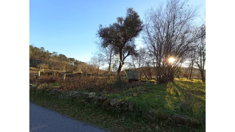 Terreno para Venda em Orgens