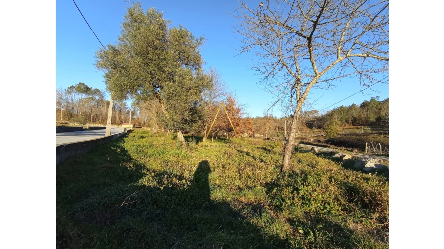 Terreno para Venda em Orgens Foto 2