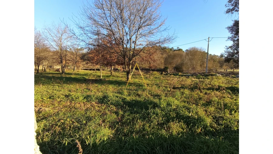 Terreno para Venda em Orgens Foto 3