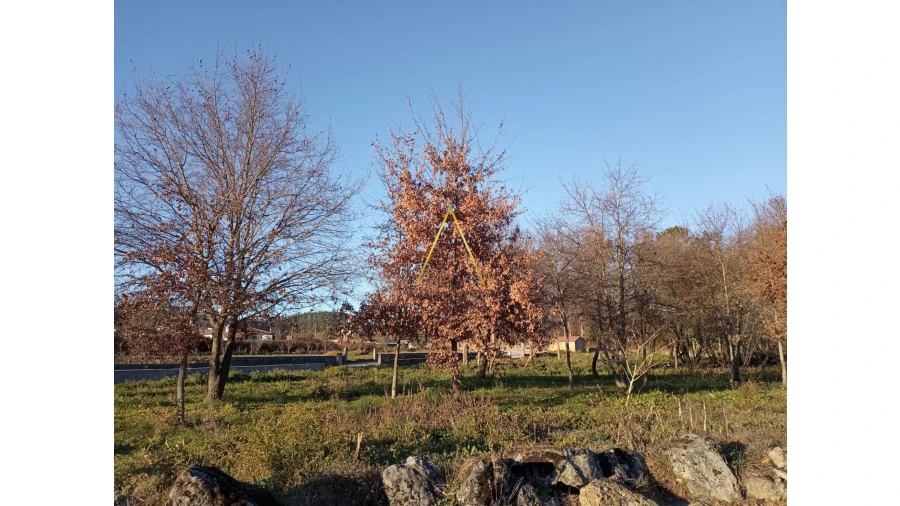 Terreno para Venda em Orgens Foto 8