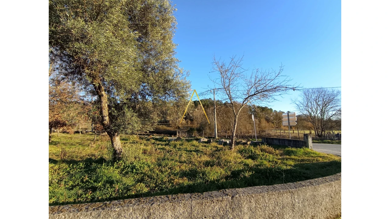 Terreno para Venda em Orgens Foto 5